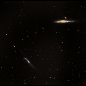 galaxie la baleine ngc4631