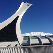 Deux pigeons modÃ¨le et le stade olympique