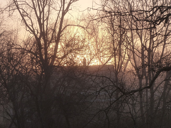 Misty morning Shelburne, NS