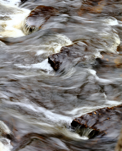 The Creeks are Flowing Edmonton, AB