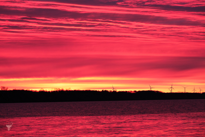 Gorgeous Sunrise Over Erie Port Bruce, ON