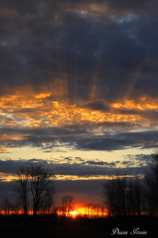Sunrise Rays Loyalist Township, ON