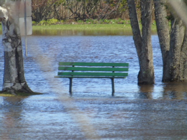 Inondation en date d'aujourd'hui 2 Ferme-Neuve Municipalite, 12 Rue, Ferme-Neuve, QC