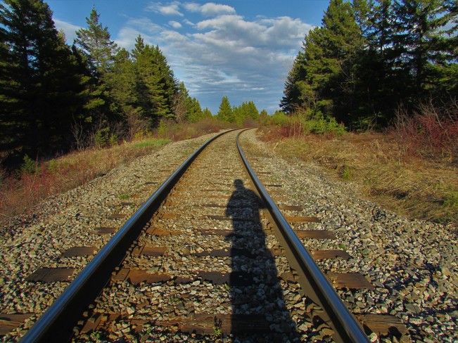 Sur chemin de fer Véloroute des Bleuets, Chambord, QC G0W 1G0, Canada