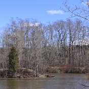 Rivière Rimouskio