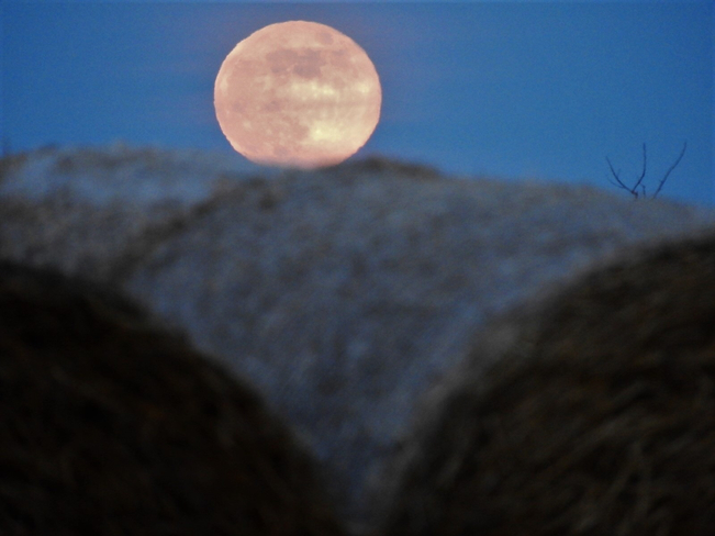 May 18 2019 Full Moon ( Blue Moon) Tofield, Alberta, CA