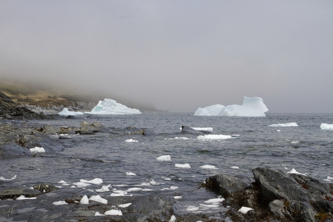 ice berg alley Saint Anthony, Newfoundland and Labrador