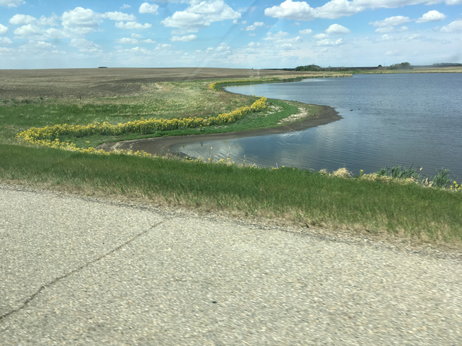 Un Ã©tang dans prairie sur la route 16 Quill Lake, Saskatchewan, CA