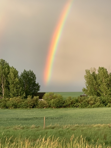 Rainbow Cadillac, Saskatchewan, CA