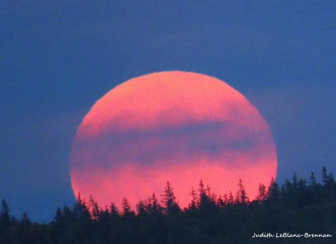 The Wolf Moon!! Cape Breton Island, Nova Scotia