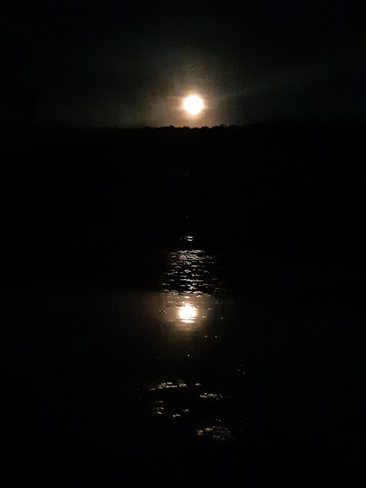 night moon Dorset, ON