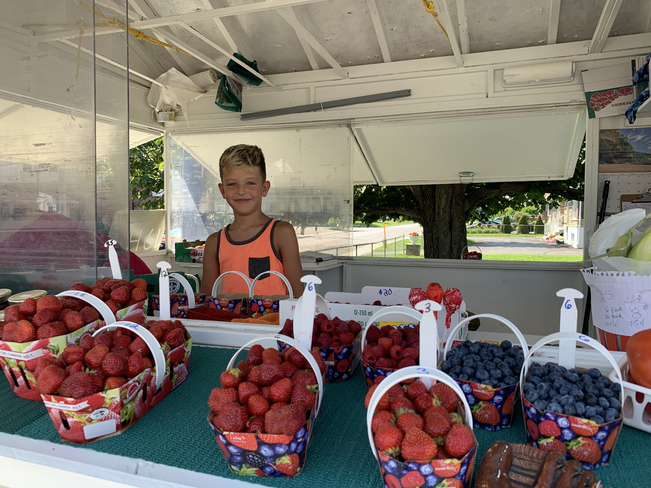 Il a vendu ses fraises du Quebec avec succÃ¨s mon petit fils Axel 8 ans