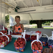 Il a vendu ses fraises du Quebec avec succÃ¨s mon petit fils Axel 8 ans