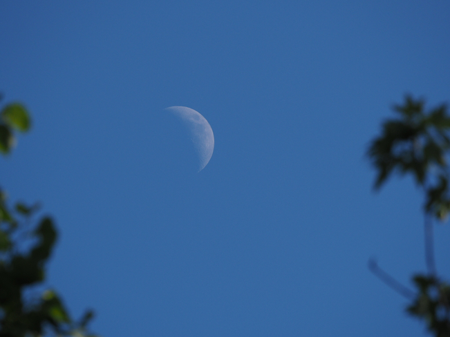 Lune dans le ciel bleu Dégelis, Québec, CA