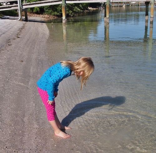 The Wonderful Curiosity of Kids Longboat Key, FL, United States