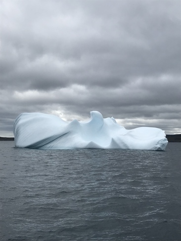 Iceberg Newfoundland and Labrador July 5, 2019 Newfoundland and Labrador