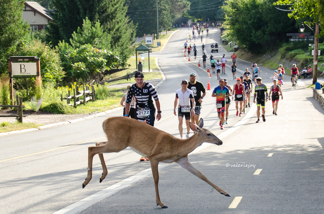 "Run Like a Deer" Mont Tremblant, Quebec