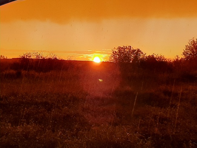 Yellow sunset Donalda, AB