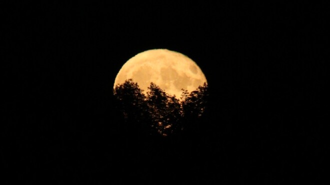 Harvest Moon Rising Grand Valley, ON