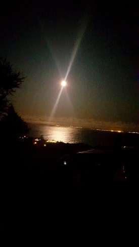 Moonlit night Upper Island Cove, NL