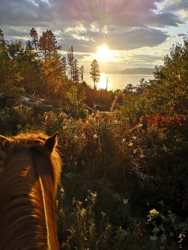 Randonnée en cheval aux battures à la baie La Baie, Saguenay, QC