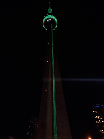 Toronto Lights Toronto, ON