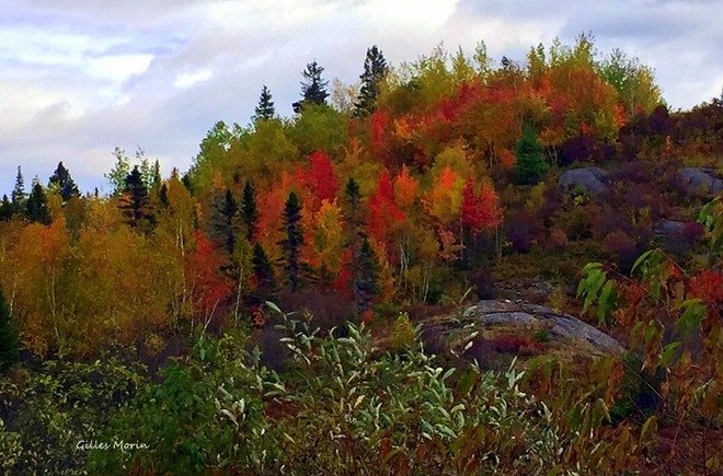 L'automne au Saguenay. Chicoutimi, Saguenay, QC