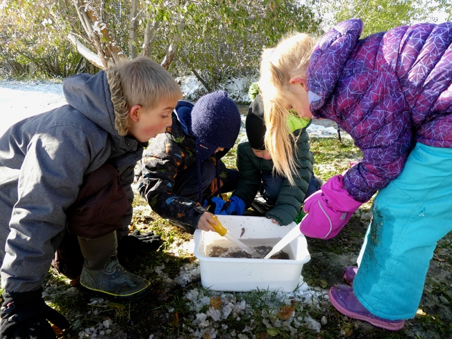 LEARNING ABOUT CREEK SCIENCE! Cranbrook, BC