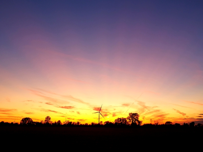 beautiful sunset Tilbury, ON