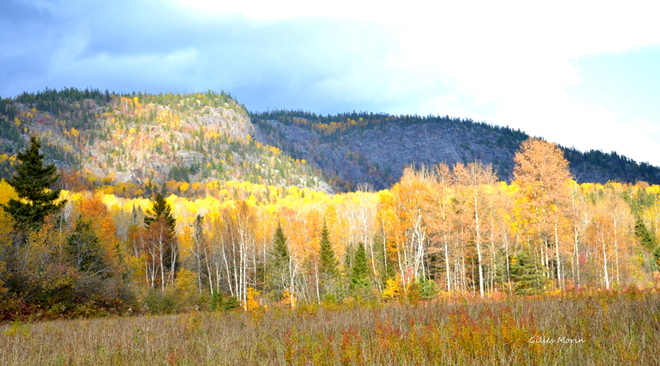 Regard sur l'automne. Chicoutimi, Saguenay, QC