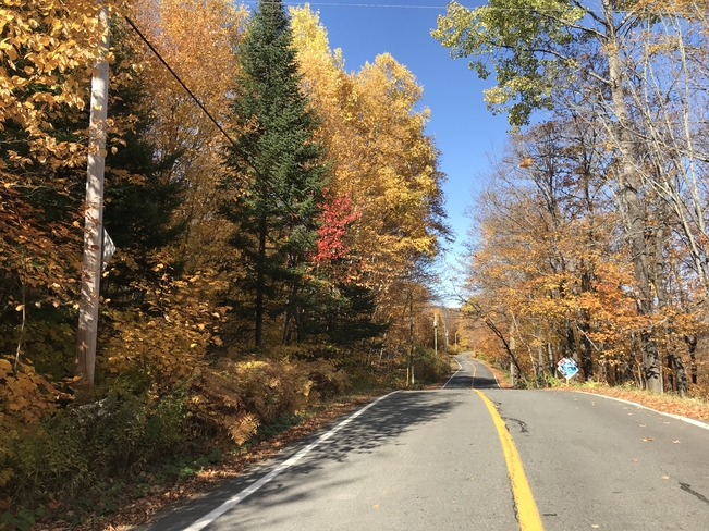 Couleurs d’automne Le Nordet, Québec, CA