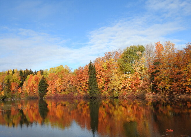 Les couleurs de l'automne Petit-Rocher, N.B.