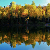 L’automne au Lac Quenouille