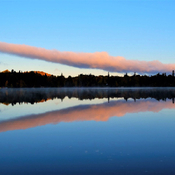 Un matin , Lac Quenouille