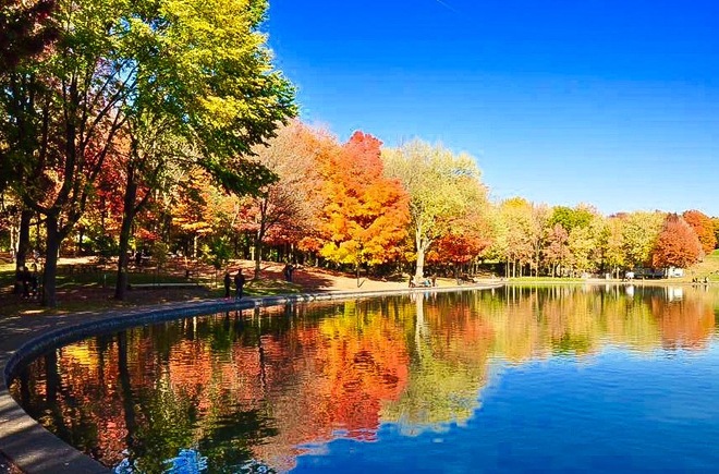 Autumn, splendor of colours Ontario