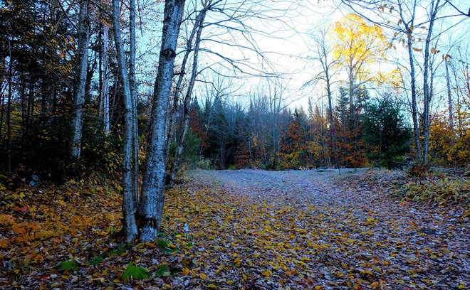 La fin de l’automne Sainte-Agathe-Nord, Québec, CA