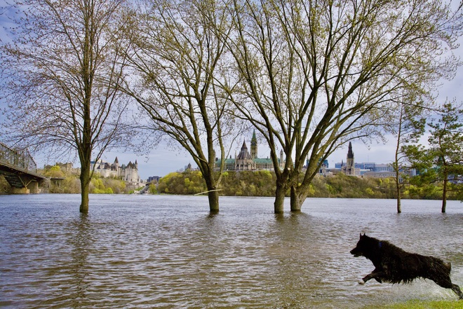 Inondations riviÃ¨re des Outaouais Gatineau, QC