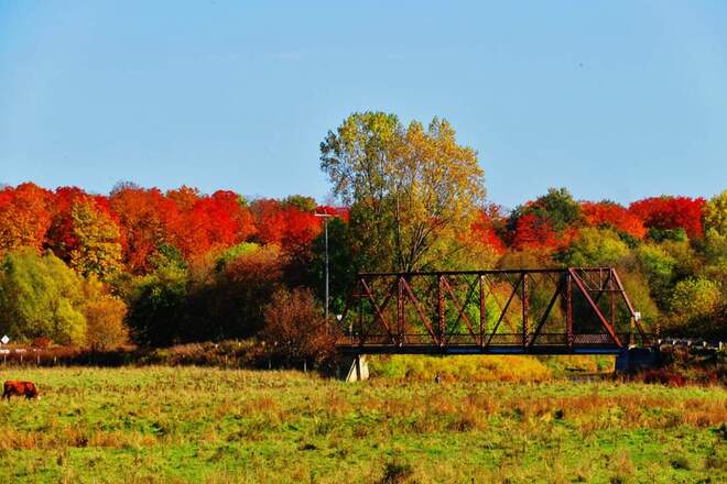 The beauty of Fall!! Plattsville, ON