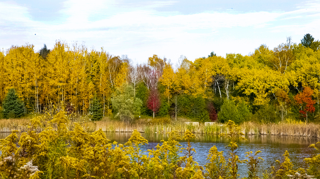 Autumn Around The Pond Uxbridge, ON