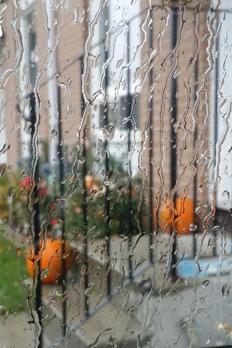 Yesterday Rain! ! Picton, ON