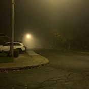 Brouillard ce matin