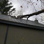 un arbre a tomber sur notre toit
