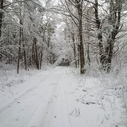 Snowy Walk Garden River, ON