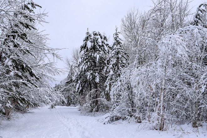 Winter wonderland Sudbury, Ontario, CA