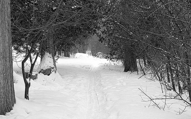 The Trail Springbank Park, Commissioners Road West, London, ON