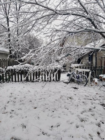 Ice storm aftermath !! St. Catharines, ON