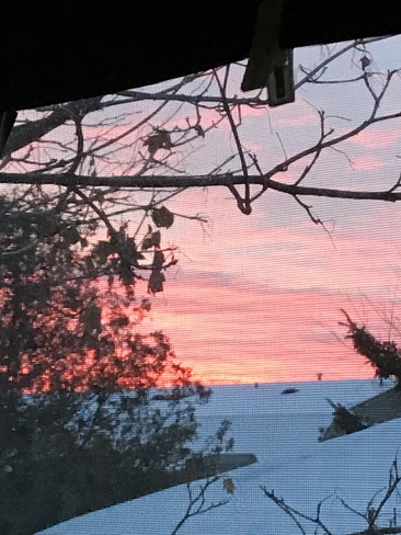 Red skies in the morning Etobicoke, Ontario, CA