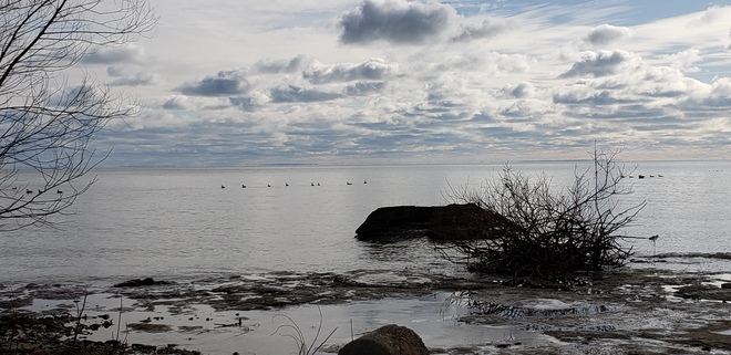 Peaceful Afternoon At Lake Erie Selkirk Ont Selkirk, ON