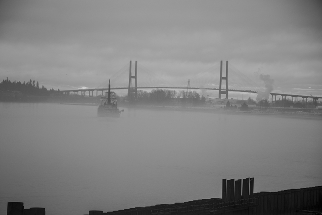 West Coast Winter Fog New Westminster, BC