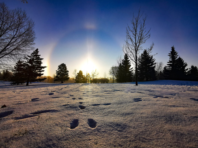 Beautiful Winter's day Saskatoon, SK